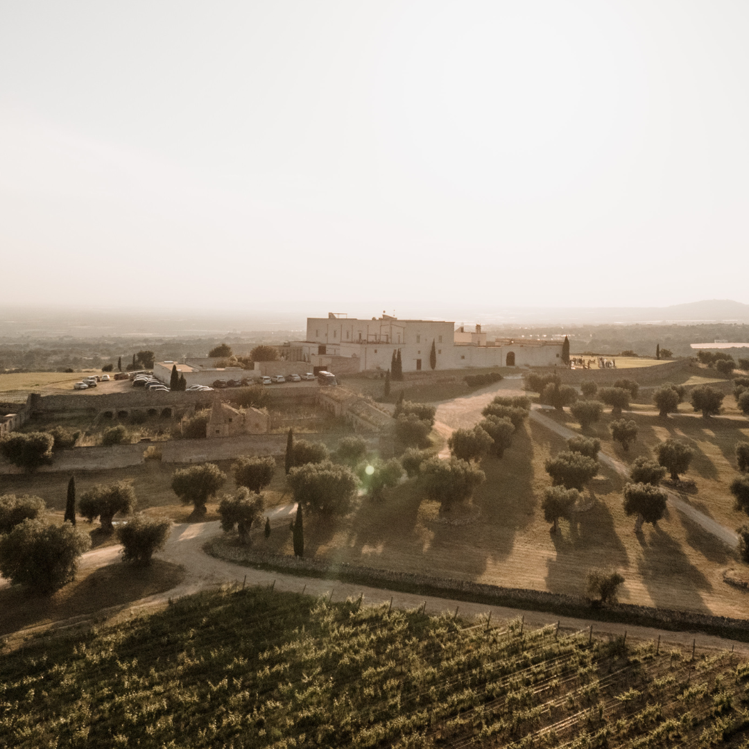 Pranzo della domenica in masseria Amastuola fra le bellezze della puglia